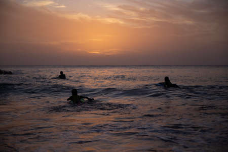 children surf, a group of young surfers catching waves on sunset time. Surfing and sport lifestyle,...