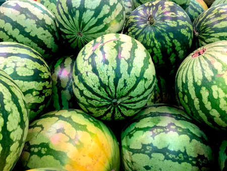 watermelon background and texture. Group of watermelons close-upの写真素材