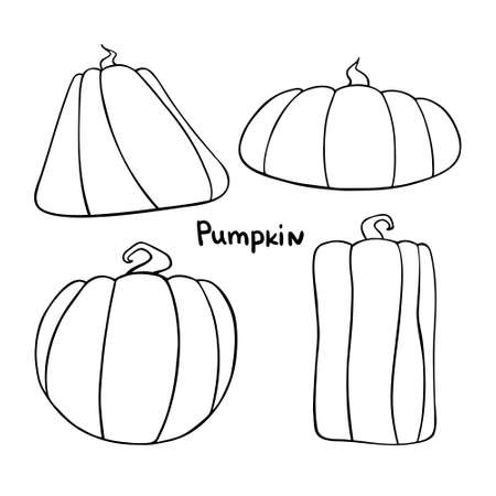 Linear vector pumpkin icon, great design for any purposes. Flat abstract design.のイラスト素材