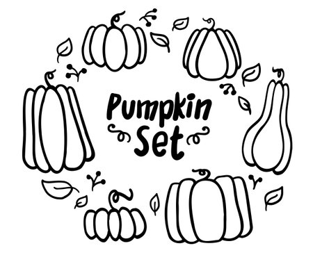 Set of pumpkins. Pumpkin of different shapes and colors. Thanksgiving design. autumn pumpkin. vector illustrationのイラスト素材