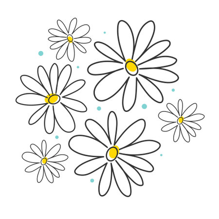 Black ink drawing flowers, monochrome artistic botanical illustration isolated on white background. Hand drawn floral vector elements. Tiny brush strokes. Chamomile and daisy cliparts.のイラスト素材