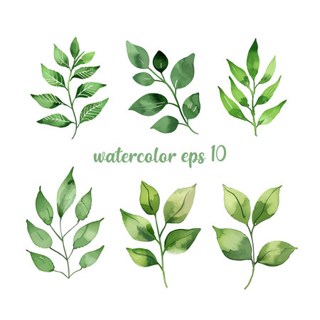 Set of watercolor green leaves elements. Collection botanical vector eps 10, isolated on white background suitable for Wedding Invitation, save the date, thank you, or greeting cardのイラスト素材