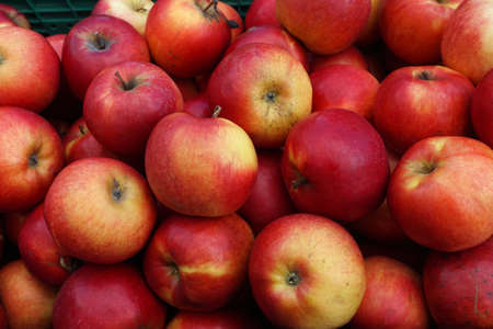 Red apples background