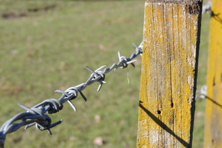 barbed wire, fenceのeditorial素材