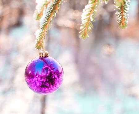 Ball on a Christmas green wood fur-treeの写真素材