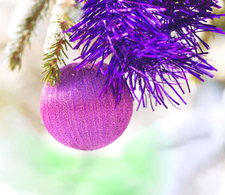 Balls on a fur-treeの写真素材