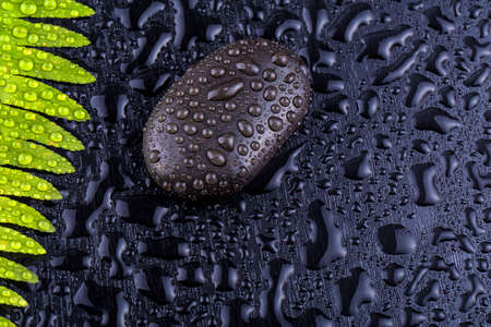 stacked wet spa stone with green leaf. selective focus.tone imageの写真素材