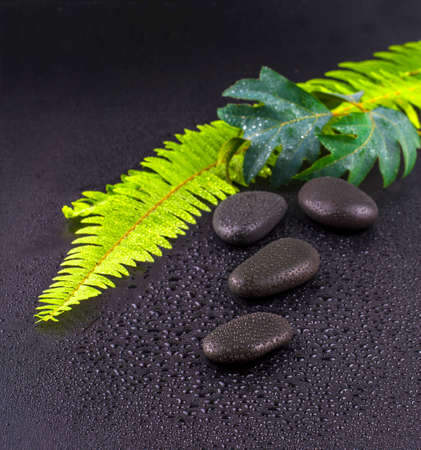 stacked wet spa stone with green leaf. selective focus.tone image