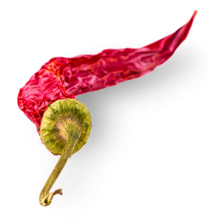 Dried red hot chili pepper. Close up studio shot of spice on white backgroundの写真素材