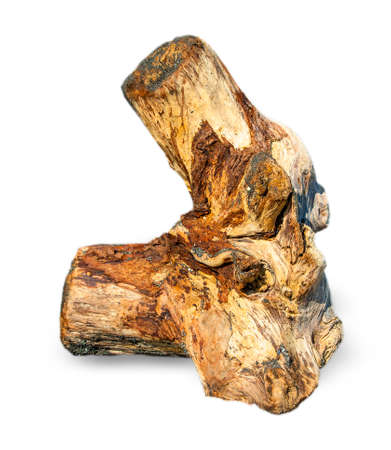 Old gray stump of the original shape rendered by the sea on the sand, isolated on white backgroundの写真素材