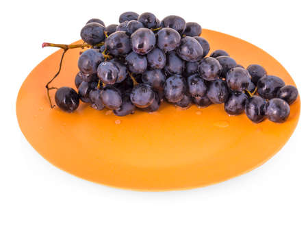 blue grapes in a clay plate on a white backgroundの写真素材