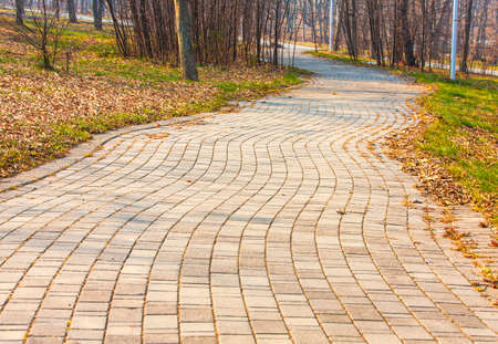 Winding walking path through the Park on an autumn day.の写真素材