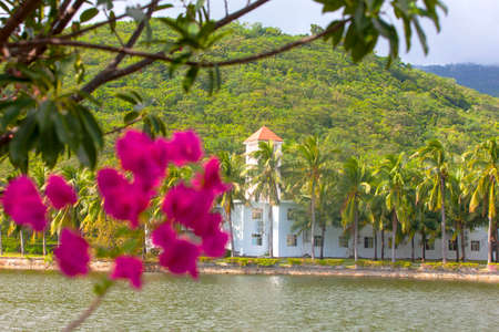 Summer vacation in a Villa, beautiful background. Closeup of flowers and palm leavesの写真素材