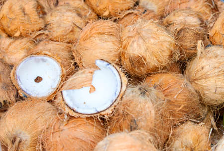 pile of coconuts on the counterの写真素材