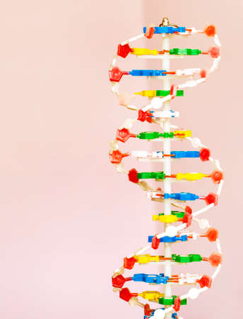molecule structure in the classroom. close-upの写真素材