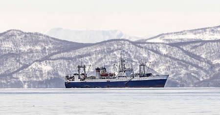 The large fishing vessel on the background of snow-covered hills and volcanoes in the Avacha Bay in...