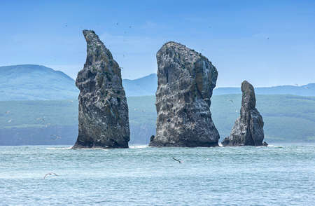 Seagulls flying near rocks on Pacific oceanの写真素材