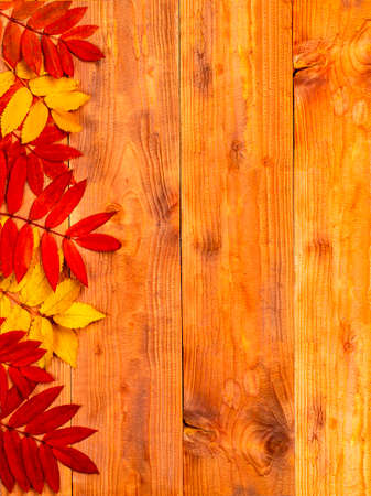 Autumn border made of leaves on wooden background