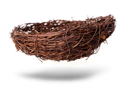 The Empty nest isolated on white background.の写真素材