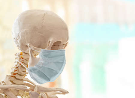 The Human skull in simple thin medical mask for protection against viral infectionの写真素材