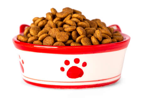 The Dry cat food in a bowl, isolated on white background
