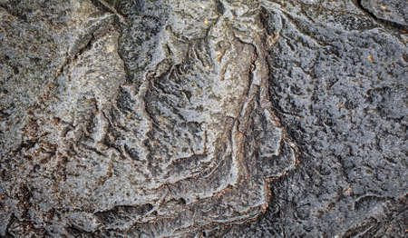 The graye stone texture or background