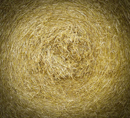 Macro straw texture, collected in a roll of hay in summer sunlight.