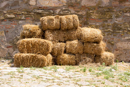 harvested hay for animal feed at the stone wall
