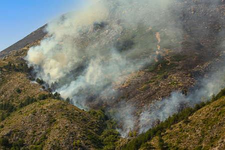 Thick white smoke from a forest fire in the mountains of Albaniaの写真素材