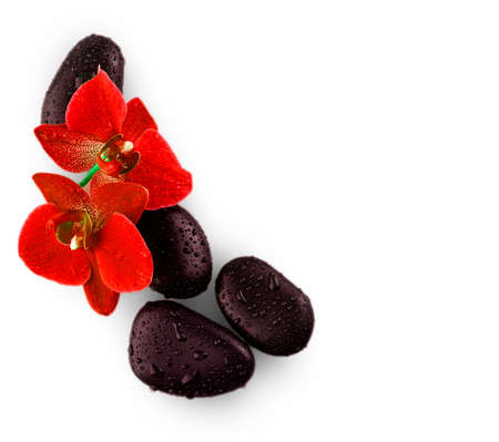 black stones and red orchid flower with drops on white backgroundの写真素材