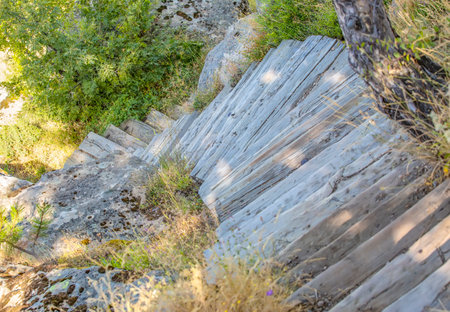 The zigzag old wooden stairs in the park top view