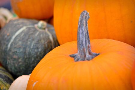 Orange Halloween Pumpkins