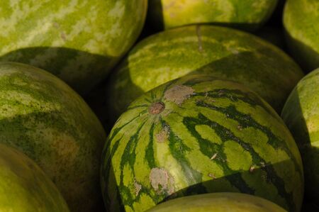 Delicious Watermelon ready to be purchased at the marketの写真素材