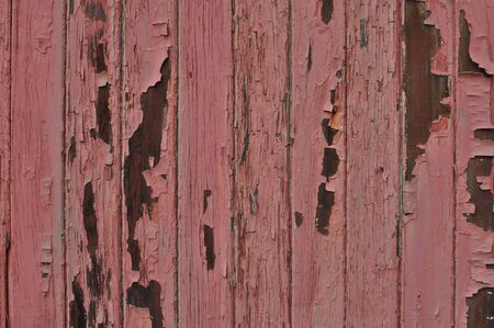 Pink Peeled Paint used as a background that text can be added toの写真素材