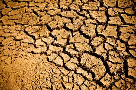 Cracked and Arid Ground Dry without water Cracked and Arid Ground Dry without water