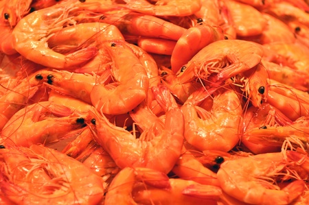 Fresh Shrimp Sold at the Marketの写真素材
