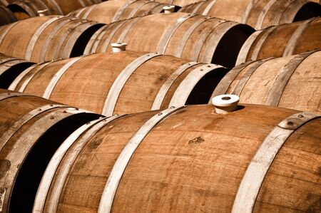 Multiple Wine Barrels in a cellarの写真素材