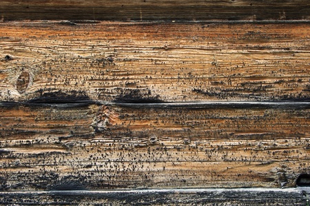 Wood Panel Backgroundの写真素材