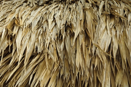 Thatch Roofの写真素材
