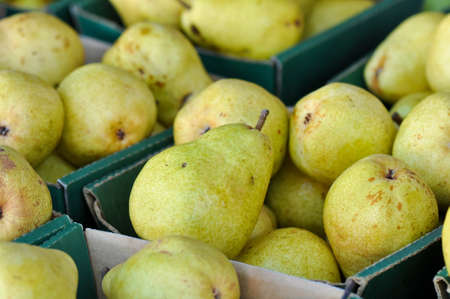 Pears in a Basketの写真素材