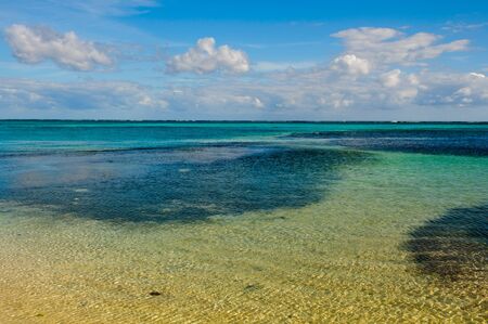 Tropical Ocean Backgroundの写真素材