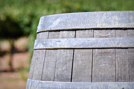 Wine Barrel in the Vineyardの写真素材