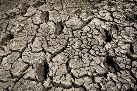 Footprints in Cracked Dirtの写真素材
