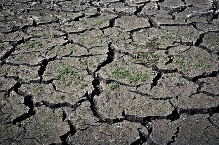 Cracked Ground Backgroundの写真素材