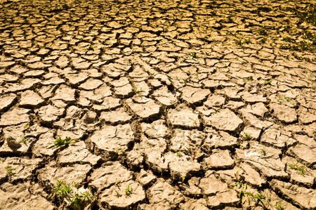 Cracked Ground Backgroundの写真素材