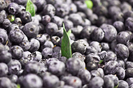 Blueberry Macro Close upの写真素材