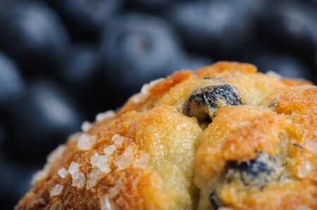 Blueberry Muffinの写真素材