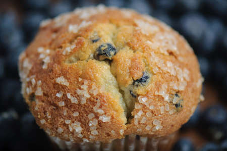 Blueberry Muffinの写真素材
