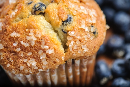 Blueberry Muffin with Blueberries in Backgroundの写真素材