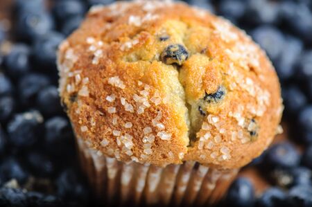 Blueberry Muffin with Blueberries in Backgroundの写真素材